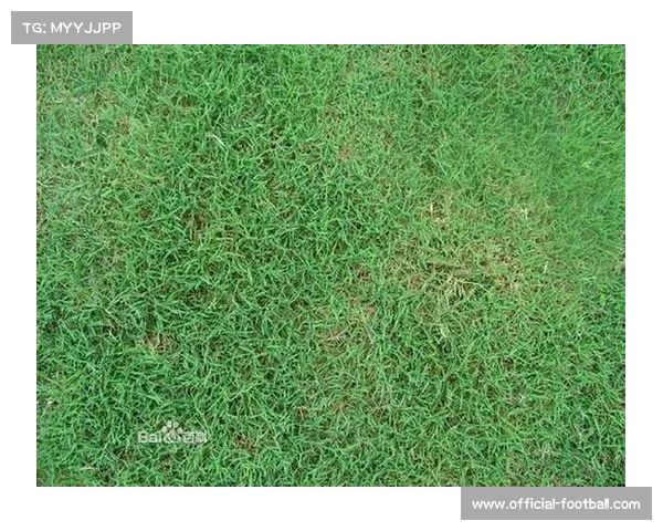 球场草坪新物种:耐寒百慕大草在极地测试中的突破 球场草坪新物种:耐寒百慕大草在极地测试中的突破